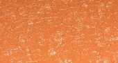 High Gloss Matt 8004 Терракотовый